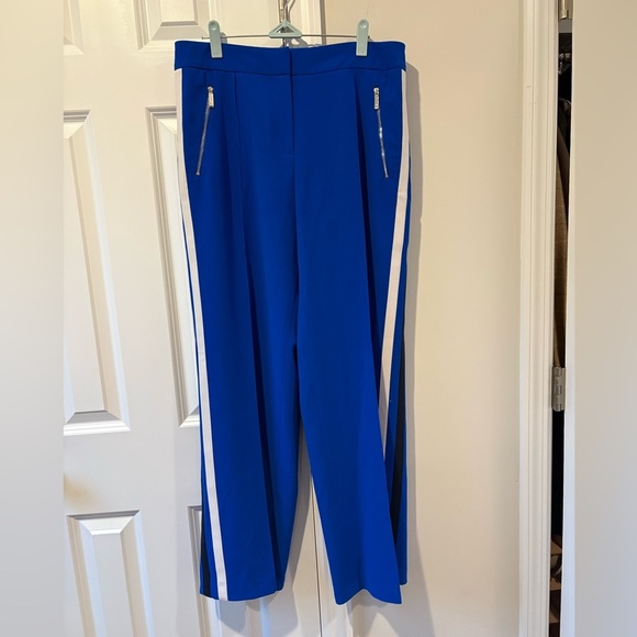Ted Baker London Blue Stripe Pants - Picture 4 of 14